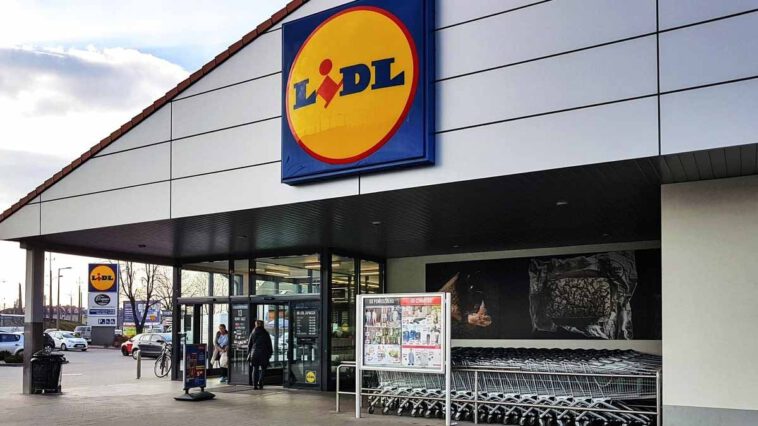 Affluenza straordinaria da Lidl per questo prodotto essenziale per combattere i peli a un piccolo prezzo.