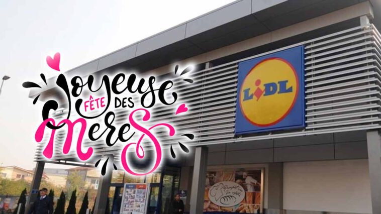 Frenesia da Lidl: il regalo perfetto per la festa della mamma a meno di 5 euro