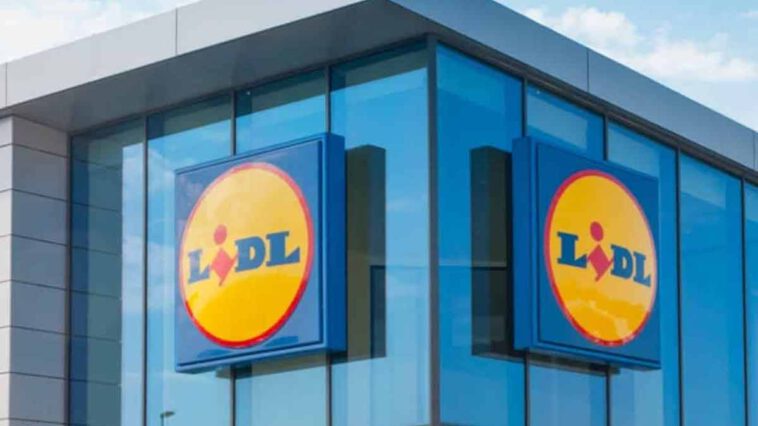 Lidl colpisce forte e offre la soluzione perfetta per mantenere sempre fresche le tue bevande quest'estate.