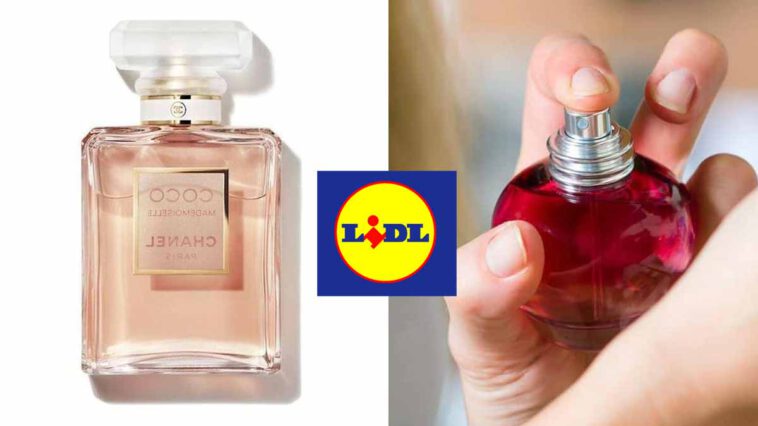 Questi profumi Lidl