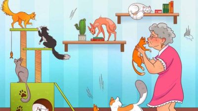 Solo i geni riescono a individuare questo errore nell'immagine della camera dei gatti della nonna in 7 secondi: test del QI