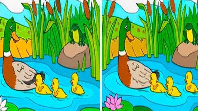 Test di QI: in questo gruppo di anatroccoli ci sono 10 differenze