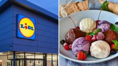 Affollamento da Lidl con quest'attrezzatura per preparare deliziose gelati quest'estate