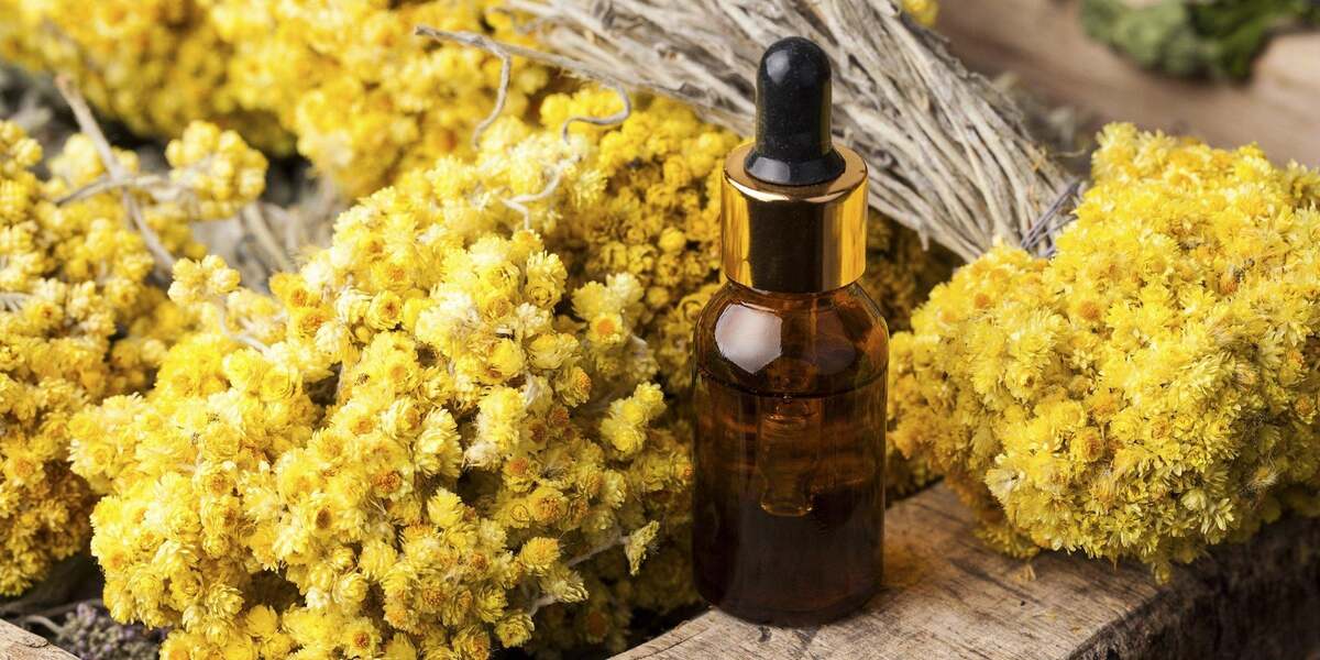 Perché adoriamo l'immortelle nei nostri prodotti di bellezza : scopri i suoi benefici sorprendenti