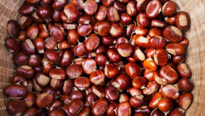 I migliori consigli per conservare le castagne