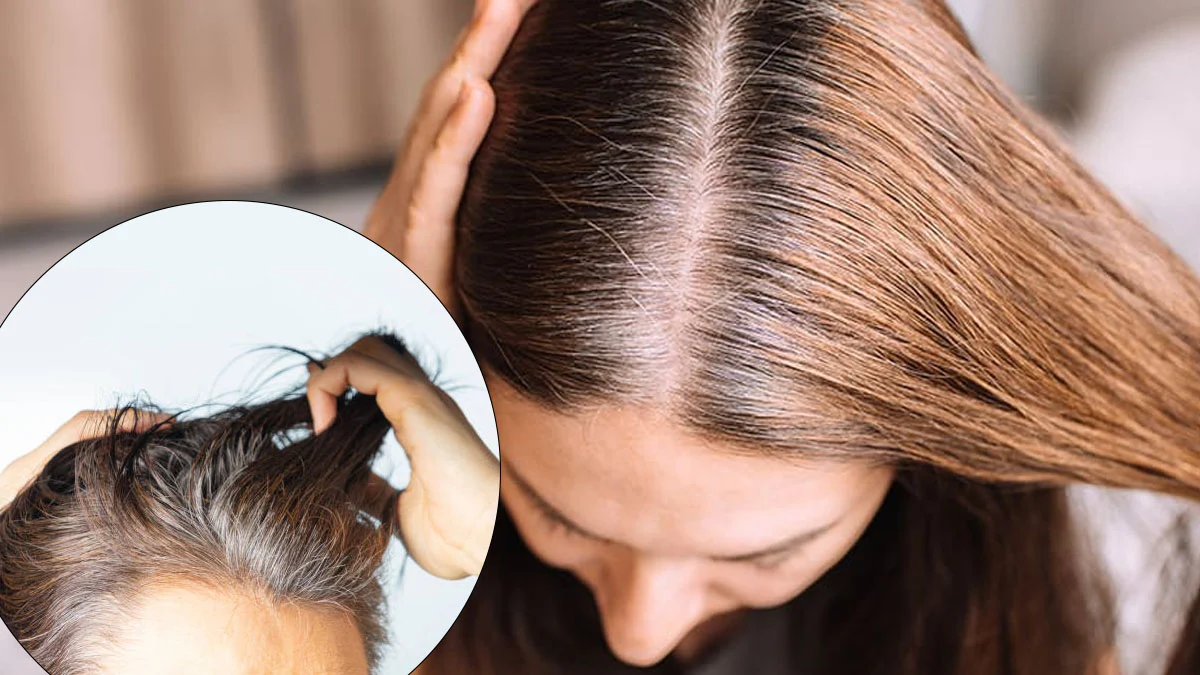 Addio ai capelli bianchi: gli scienziati svelano come recuperare il colore naturale dei capelli senza tinte